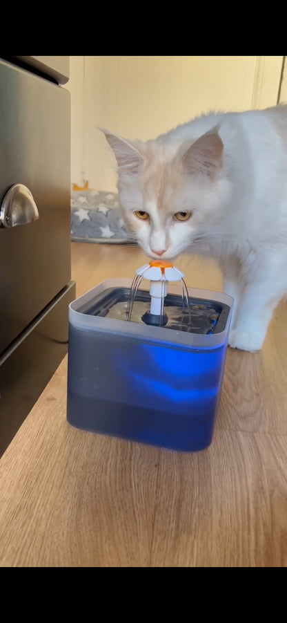 Fontaine à eau pour chien et chat