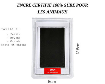 Kit Souvenir Empreinte de Patte