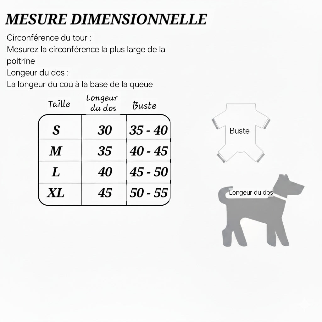 Pull de Noël pour chien